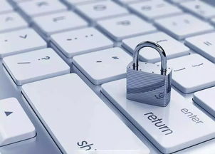 網絡安保分級制 個人信息保護的堅實防線